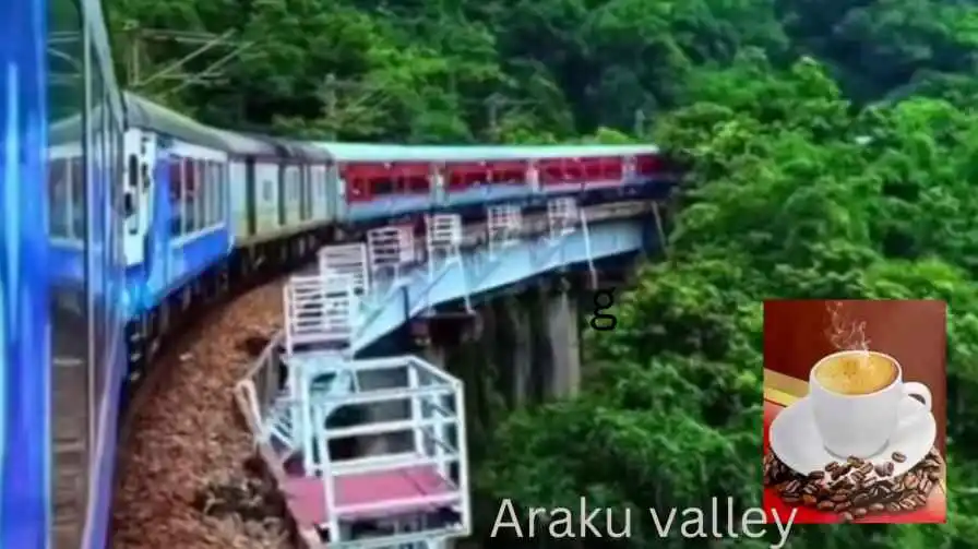 Araku Valley