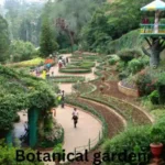 ooty